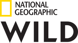 NATIONAL GEOGRAPHIC WILD HD